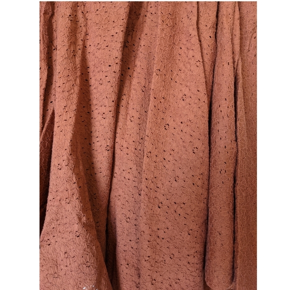 Rust Colored Eyelet Full Skirt - Picture 3 of 4